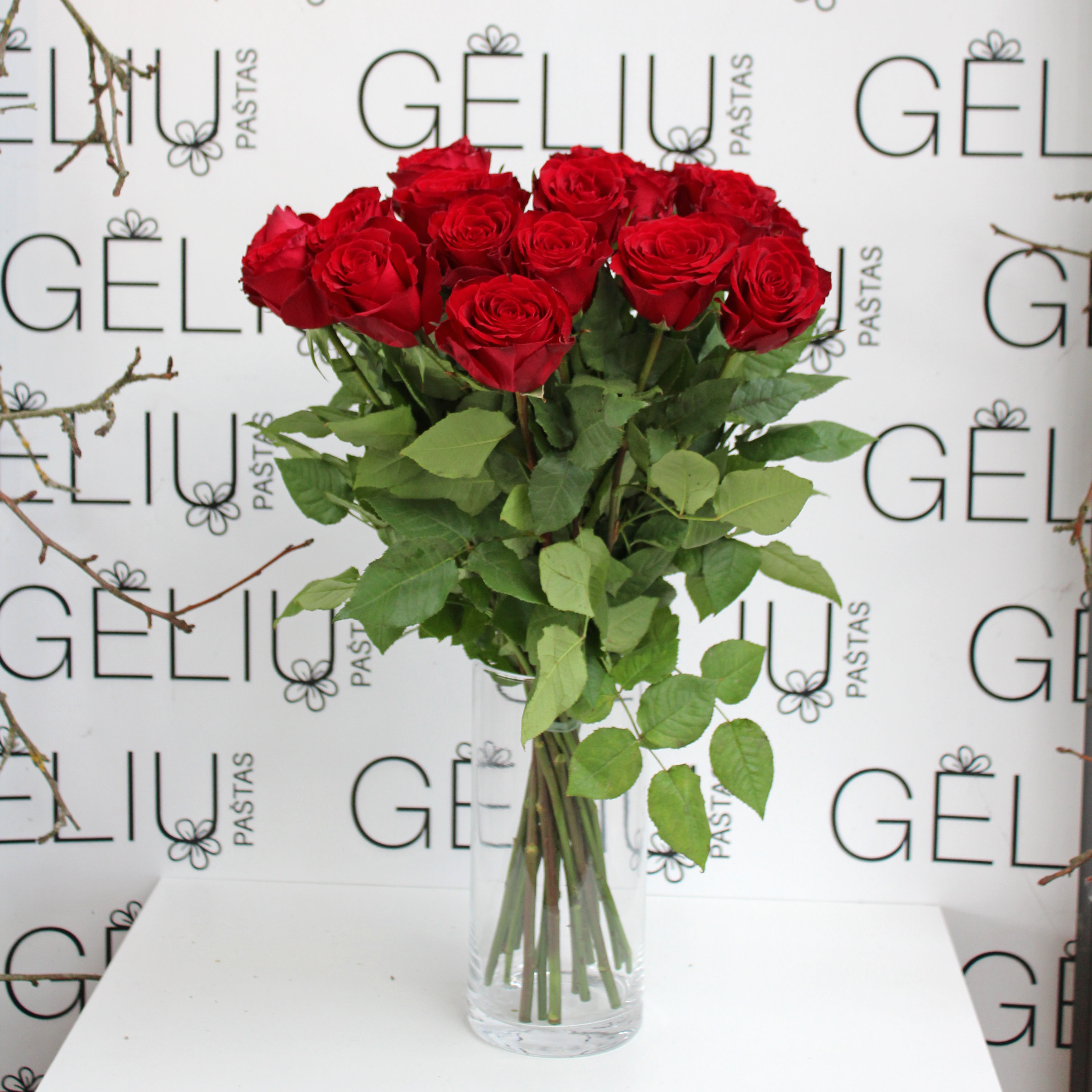 Rožė Raudonos spalvos 60cm